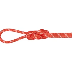 8.0 Alpine Classic Kletterseil