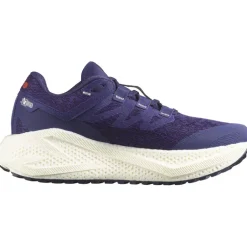 Damen Aero Glide 3 GRVL Schuhe