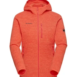 Damen Arctic IV ML Hoodie Jacke