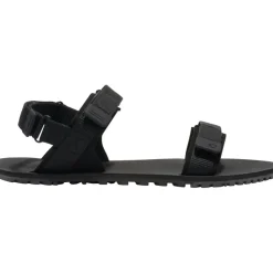 Damen D-Trail Schuhe