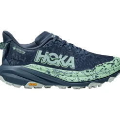 Damen Speedgoat 6 GTX Schuhe