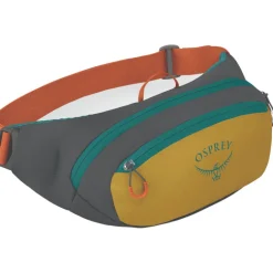 Daylite Waist Hüfttasche