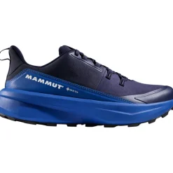 Herren Aenergy Hike Low GTX Schuhe