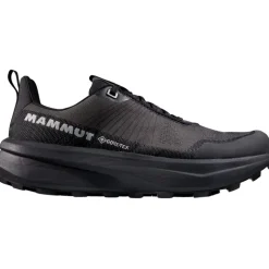 Herren Aenergy Mtn Low GTX Schuhe