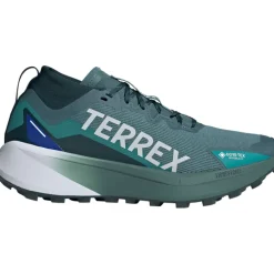 Herren Agravic GTX Schuhe