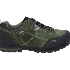 Herren Alcor 2.0 Low WP Schuhe