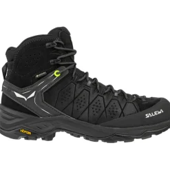 Herren Alp Trainer 2 Mid GTX Schuhe