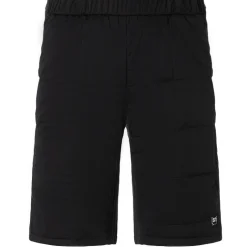 Herren Alpine Active Shorts