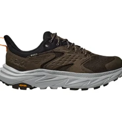 Herren Anacapa 2 Low GTX Schuhe