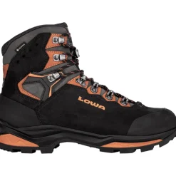 Herren Camino Evo GTX Schuhe