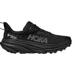 Herren Challenger 7 GTX Schuhe