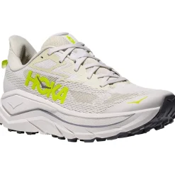 Herren Challenger 8 Schuhe