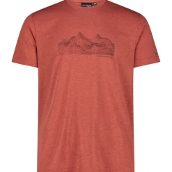 Herren Cotton Print T-Shirt