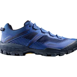 Herren Ducan II Low GTX Schuhe