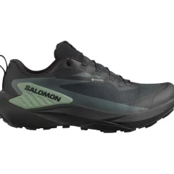 Herren Genesis GTX Schuhe