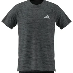 Herren Gym+ T-Shirt
