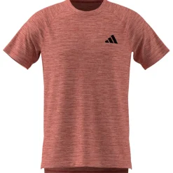 Herren Gym+ T-Shirt