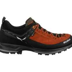 Herren MTN Trainer 2 GTX Schuhe