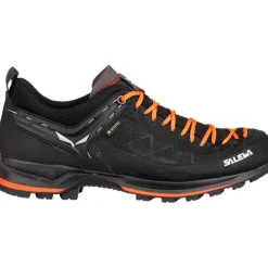Herren MTN Trainer 2 GTX Schuhe