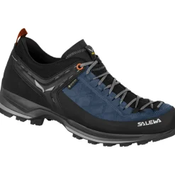 Herren MTN Trainer 2 GTX Schuhe