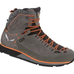 Herren MTN Trainer 2 Winter GTX Schuhe