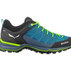 Herren MTN Trainer Lite Schuhe