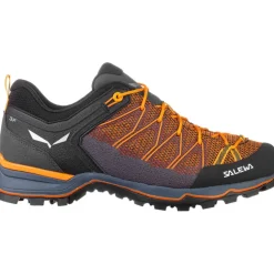 Herren MTN Trainer Lite Schuhe