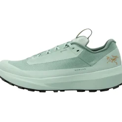 Herren Norvan LD 4 GTX Schuhe