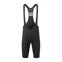 Herren Pulse Bib kurz