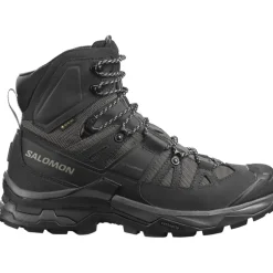 Herren Quest 4 GTX Schuhe