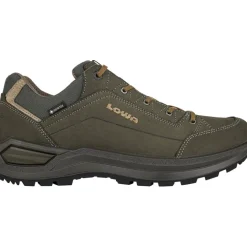 Herren Renegade Evo GTX Low Schuhe