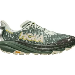 Herren Speedgoat 6 GTX Schuhe