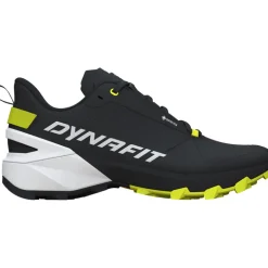 Herren Transalper 2 GTX Schuhe