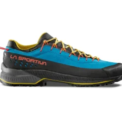 Herren TX4 Evo GTX Schuhe