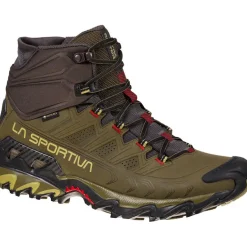 Herren Ultra Raptor II Mid Leather GTX Schuhe