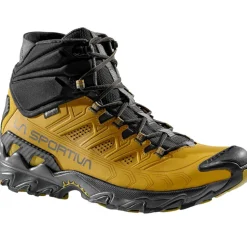 Herren Ultra Raptor II Mid Leather GTX Schuhe