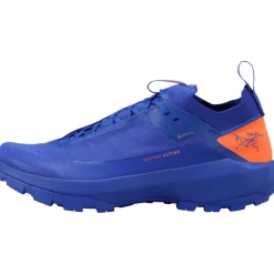 Herren Vertex Alpine GTX Schuhe