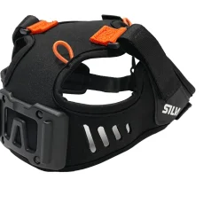 Ignite Head Mount