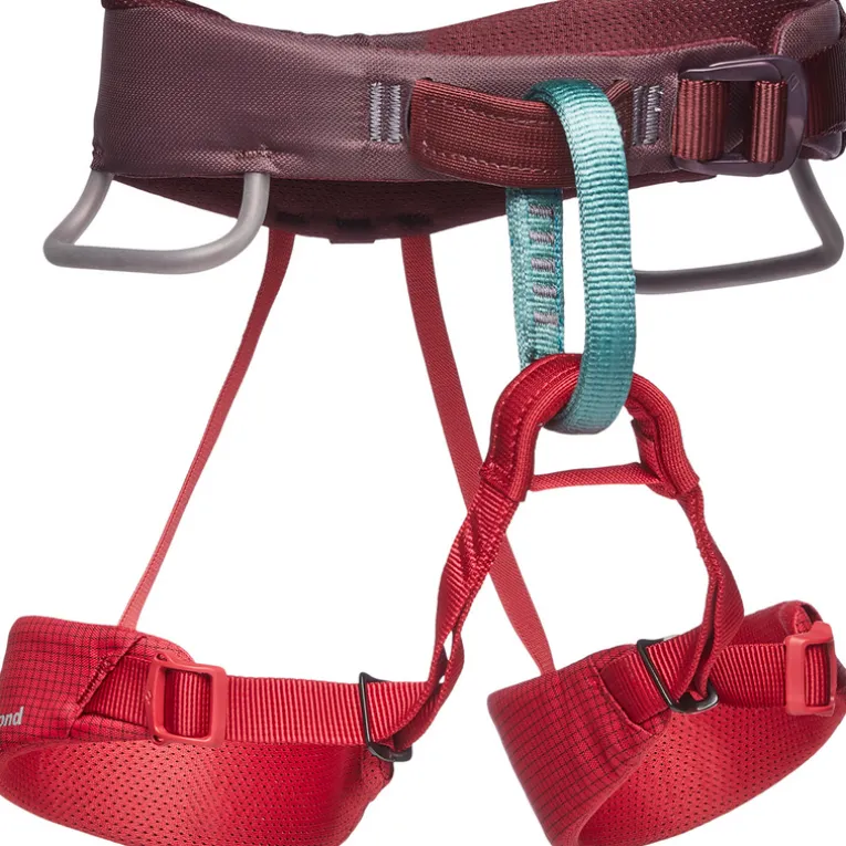 Kinder Momentum Klettergurt