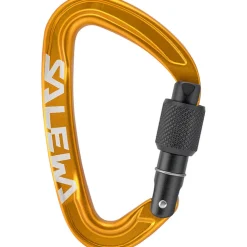 Ortles Screw Karabiner