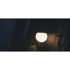 Rigel Lampe