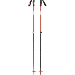 Traverse Skistöcke